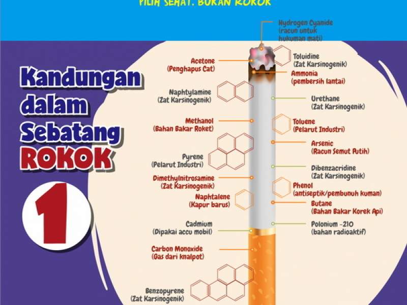 Kandungan Rokok